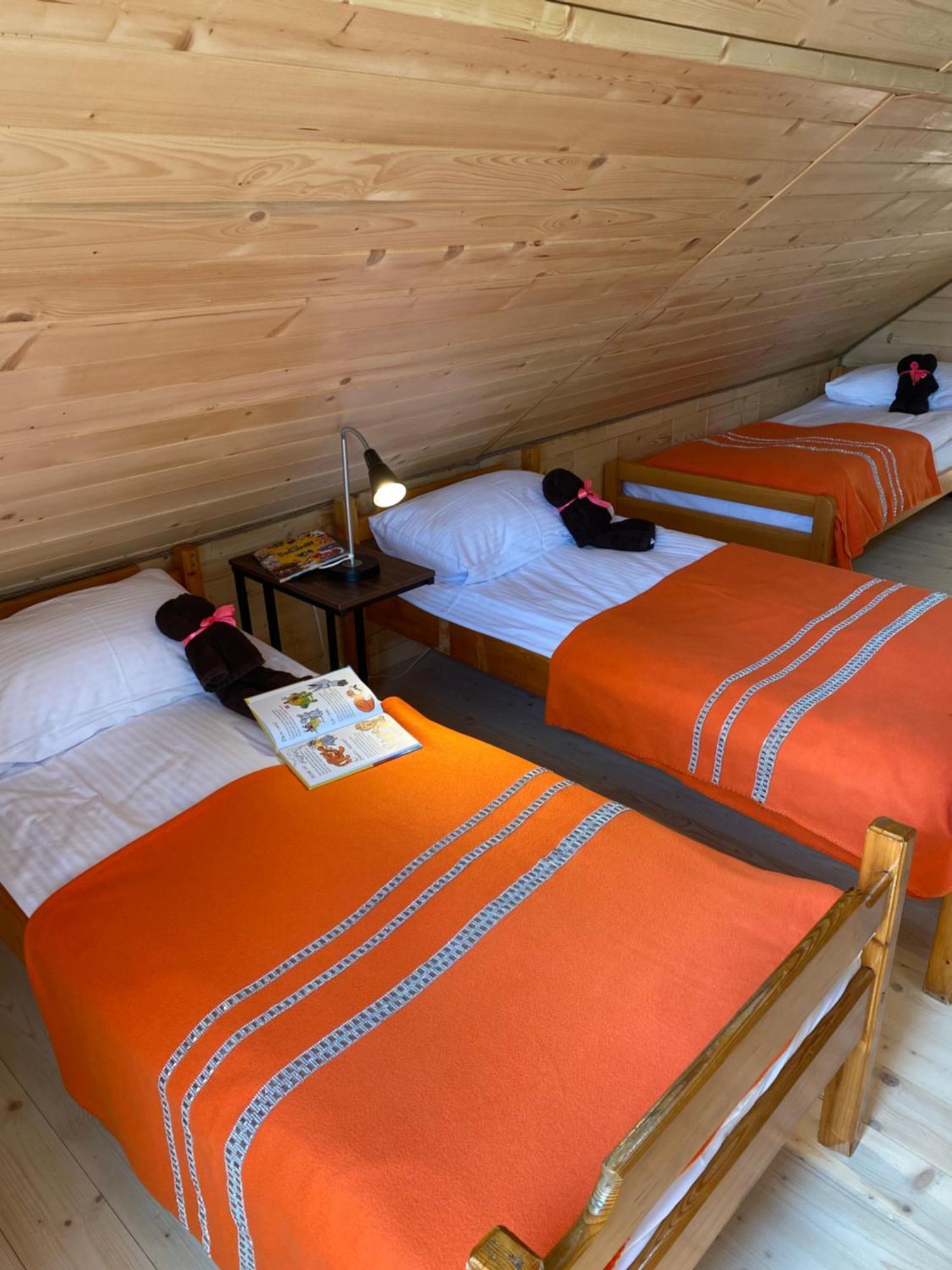 Apartamenty Migaczowka Tylicz ภายนอก รูปภาพ